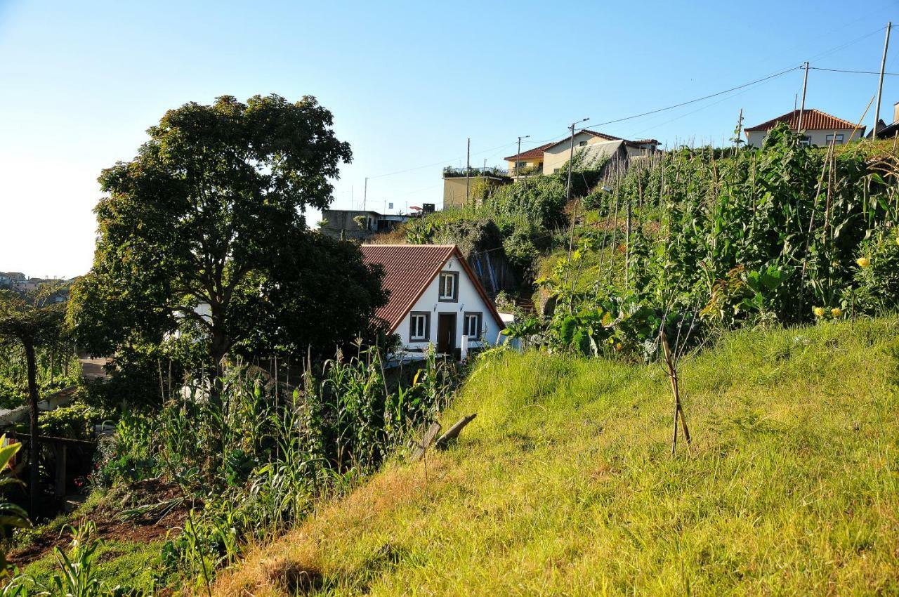 Casa Tipica De Santana - Casa Do Avo Villa Exterior foto